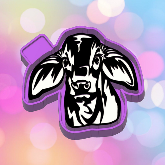 Brahman Cow