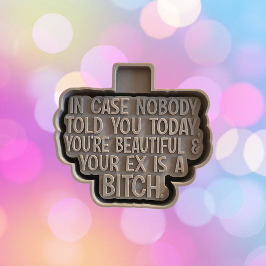 You're Ex