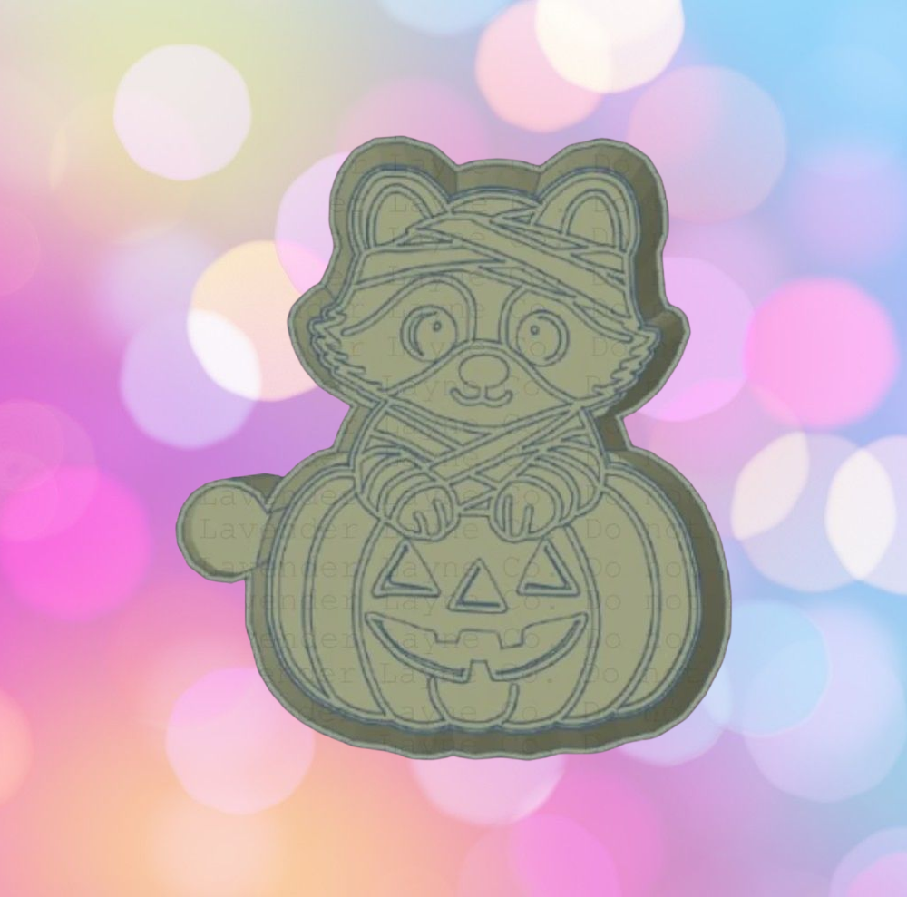Mummy Raccoon